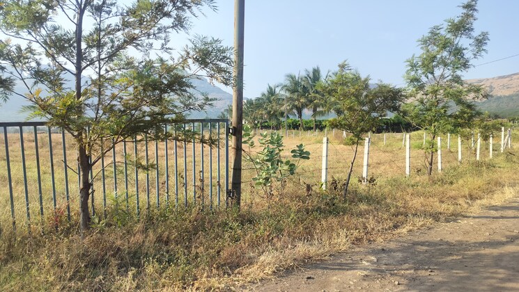 undefined, peth road  10890 Sq.Yd. Plot In Peth Road Nashik 9576661