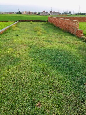  Plot – Garden View at Ramnagar - for Sale