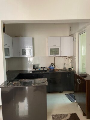 Kitchen in 2.5 BHK Apartment at Apex Golf Avenue Sports City, Sport City 1 – for Rent