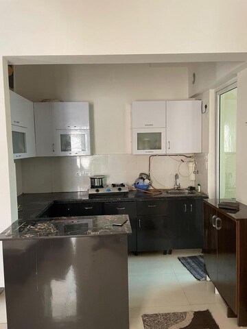 Kitchen in 2.5 BHK Apartment at Apex Golf Avenue Sports City, Sport City 1 – for Rent