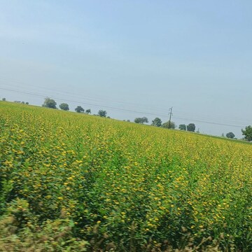 Plot Area in  Land at Kanchikacherla – for Sale