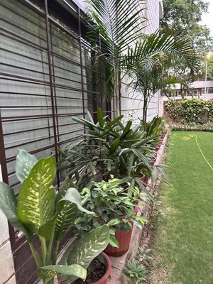 3 BHK Builder Floor – Garden View at Sector 37 - for Rent