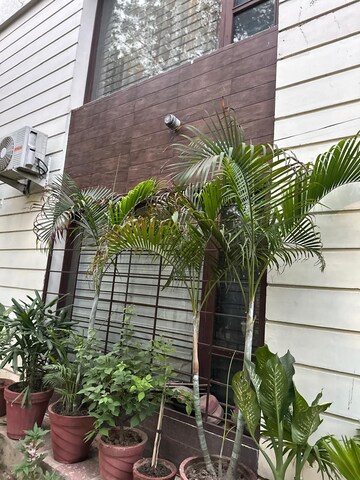 Balcony in 3 BHK Builder Floor at Sector 37 – for Rent