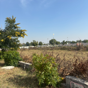 Plot Area in  Plot at Riyasat Sitarampura Extension, Pahadiya Road – for Sale