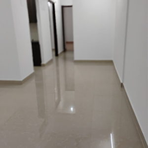 2 BHK Apartment For Rent in DB Realty Orchid Ozone, Ketkipada