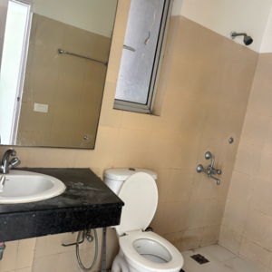 Bathroom in 2.5 BHK Apartment at Pioneer Park Phase 1, Sector 61 – for Rent