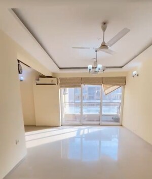 4 BHK Apartment For Rent in Tulip Violet, Sector 69