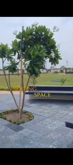  Plot – Exterior View View at Super Corridor - for Sale