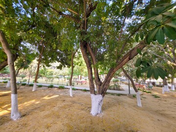 1 BHK Builder Floor – Garden View at Sector 46 - for Rent