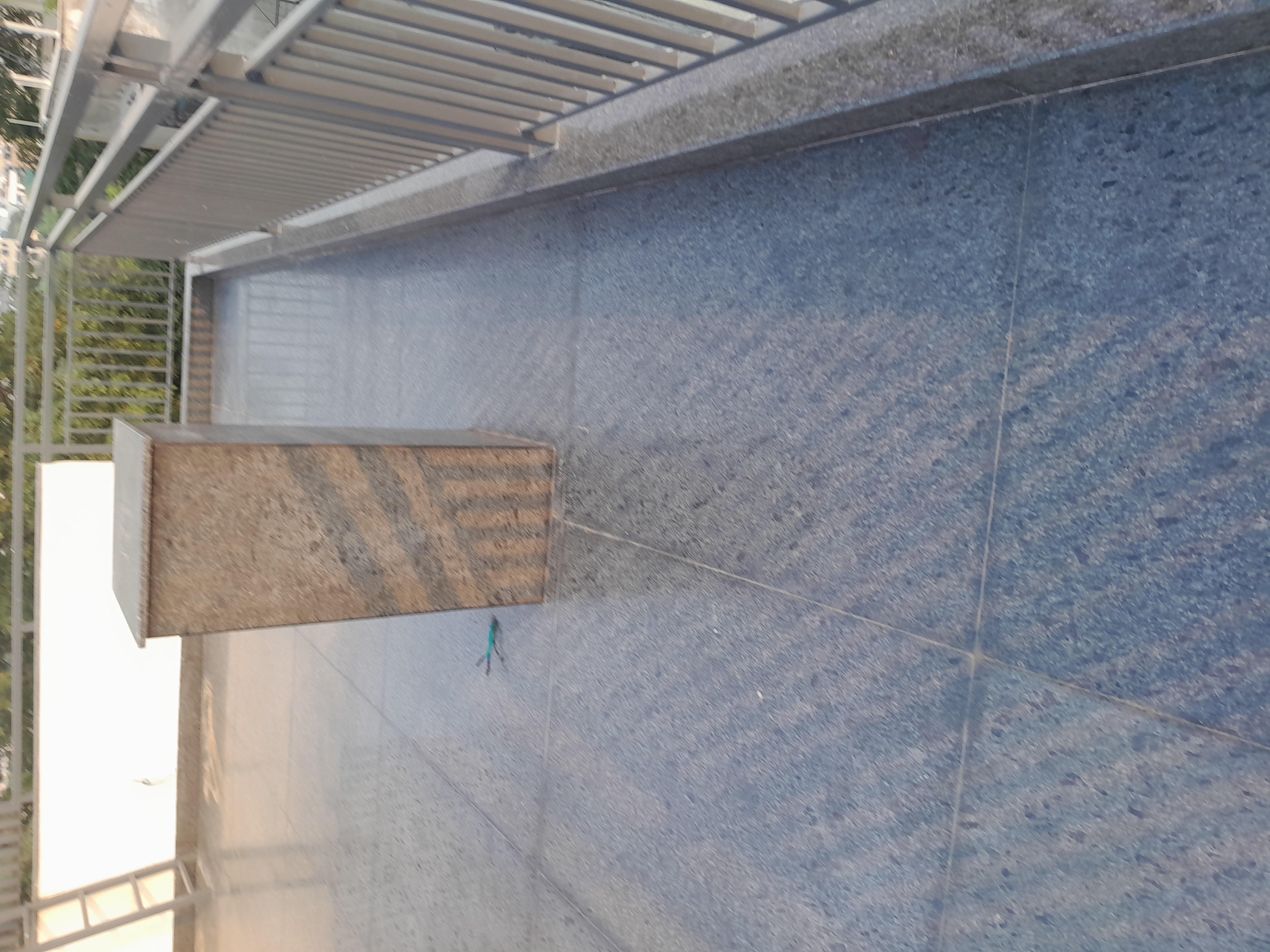 6+ BHK Villa For Sale in Vasant Vihar