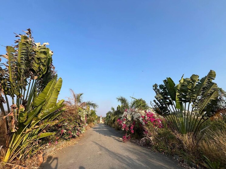 Garden, sarjapur  1500 Sq.Ft. Plot In Sarjapur Bangalore 9578188