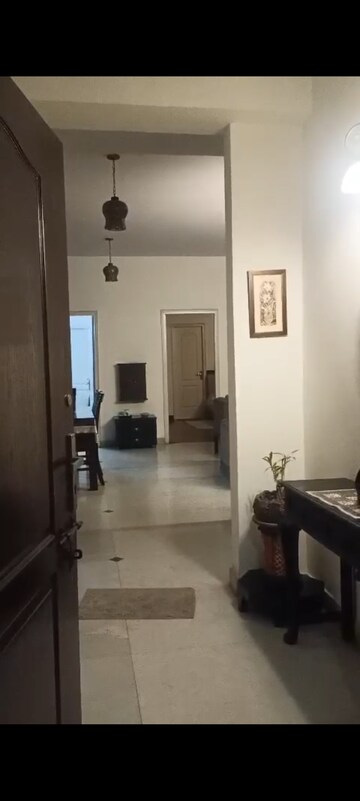 3 BHK Apartment For Rent in Wave Amore, Sector 32