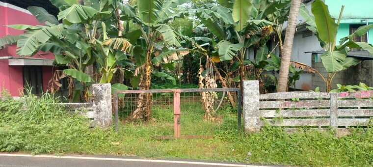 Garden, villadam  2614 Sq.Ft. Plot In Villadam Thrissur 9578427