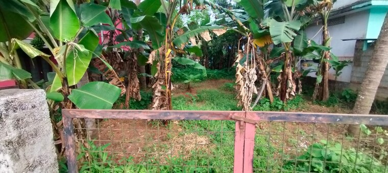 Garden, villadam  2614 Sq.Ft. Plot In Villadam Thrissur 9578427