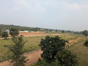 Plot Area in  Plot at Shadnagar – for Sale
