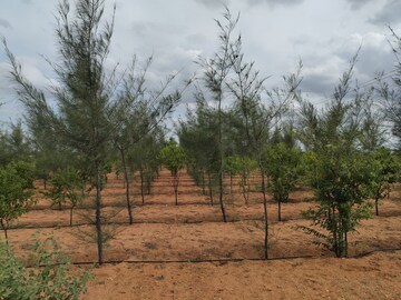 Plot Area in  Plot at Vijayawada Highway – for Sale