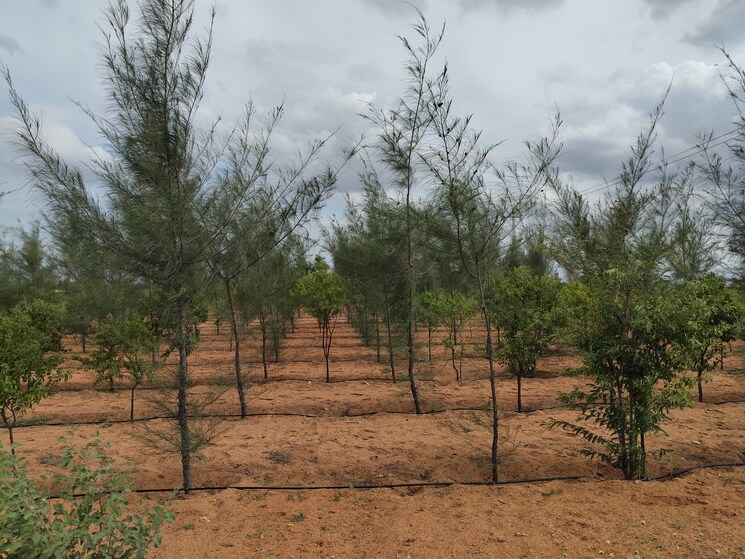 undefined, vijayawada highway  605 Sq.Yd. Plot In Vijayawada Highway Hyderabad 9578708