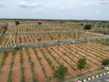  Plot For Sale in Vijayawada Highway