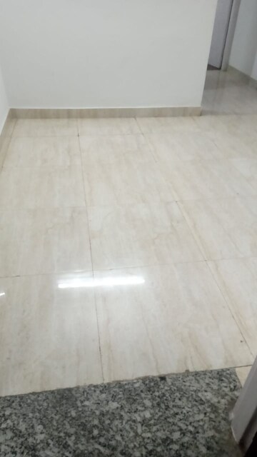 1 RK Builder Floor For Rent in Sector 21