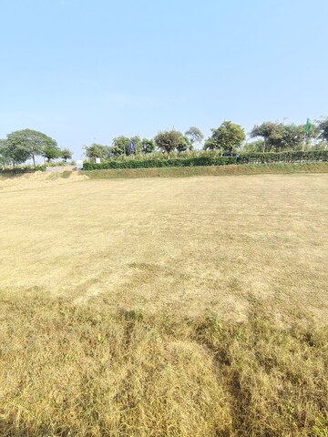 Swimming Pool in  Plot at Signature Global City of Colours, Nh 8 – for Sale