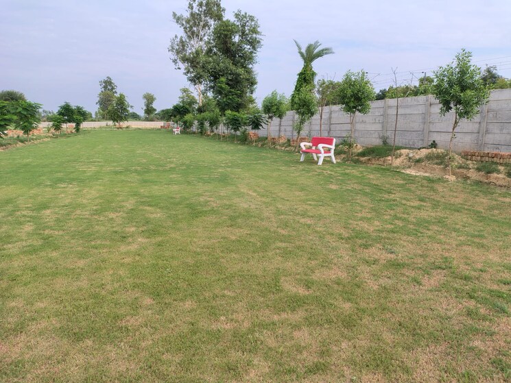 Garden, vidhi-estate  1250 Sq.Ft. Plot In Sultanpur Road Lucknow 9578775