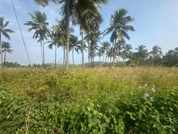  Plot – Garden View at Kolazhy - for Sale