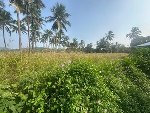 Plot Area in  Plot at Kolazhy – for Sale