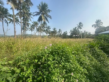 Plot Area in  Plot at Kolazhy – for Sale