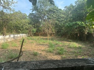 Plot Area in  Plot at Velappaya – for Sale