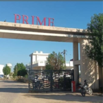 111 Sq.Yd. Plot in Riyasat Prime