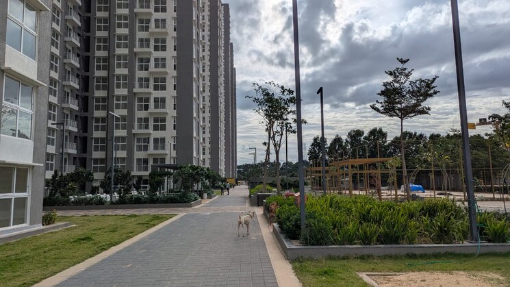 Exterior View, godrej-ananda 2 Bedroom 896 Sq.Ft. Apartment In Bagaluru Bangalore 9578895