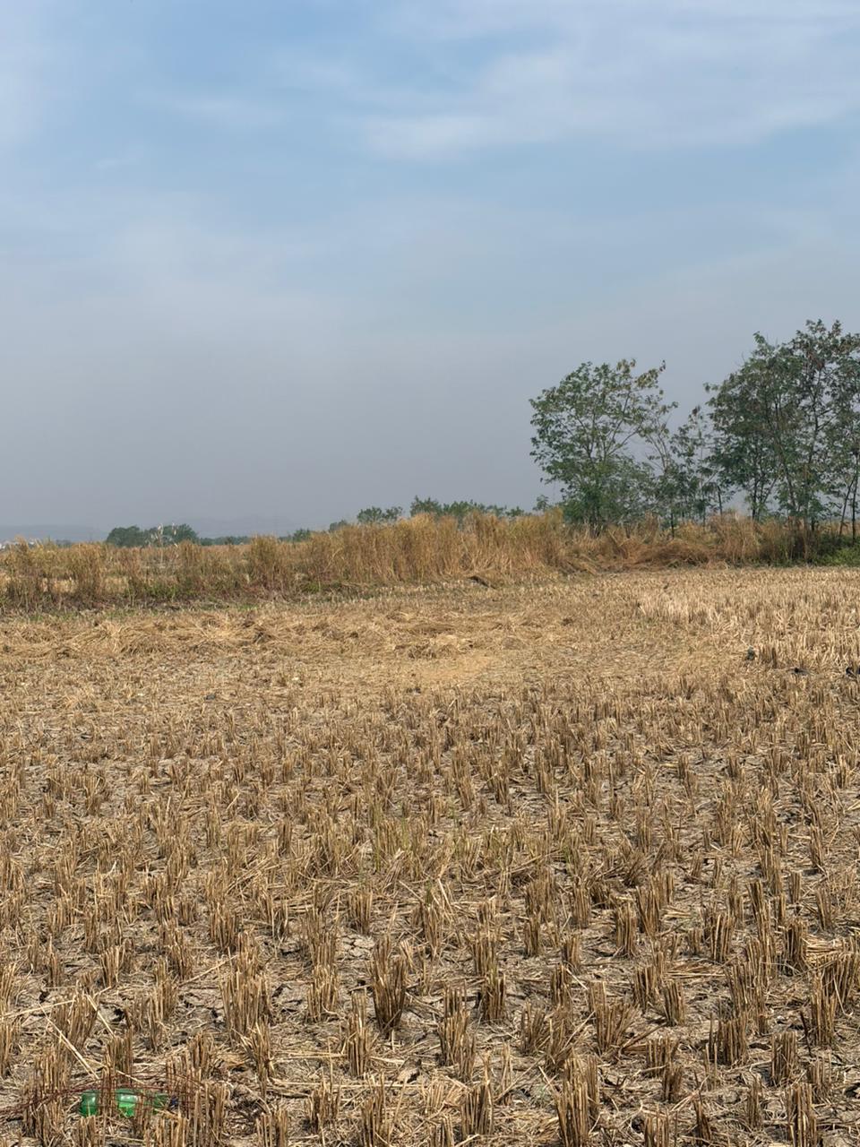 Land For Sale in CBD Belapur