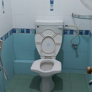 Bathroom in 3 BHK Apartment at Padmanabha Nagar – for Sale