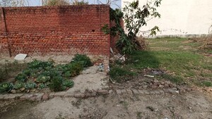 Plot Area in  Plot at Globeshine Green City, Bakharba – for Sale