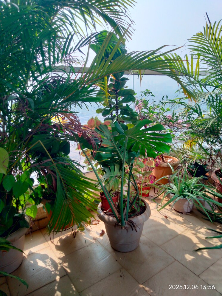 Garden, akshar-green-world 2 Bedroom 1245 Sq.Ft. Apartment In Dighe Navi Mumbai 9579454