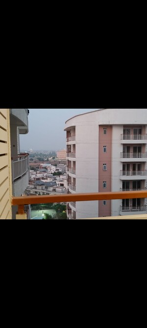 3.5 BHK Apartment For Rent in Rishita Mulberry Heights, Sushant Golf City