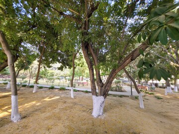 1 BHK Builder Floor – Garden View at Sector 31 - for Rent