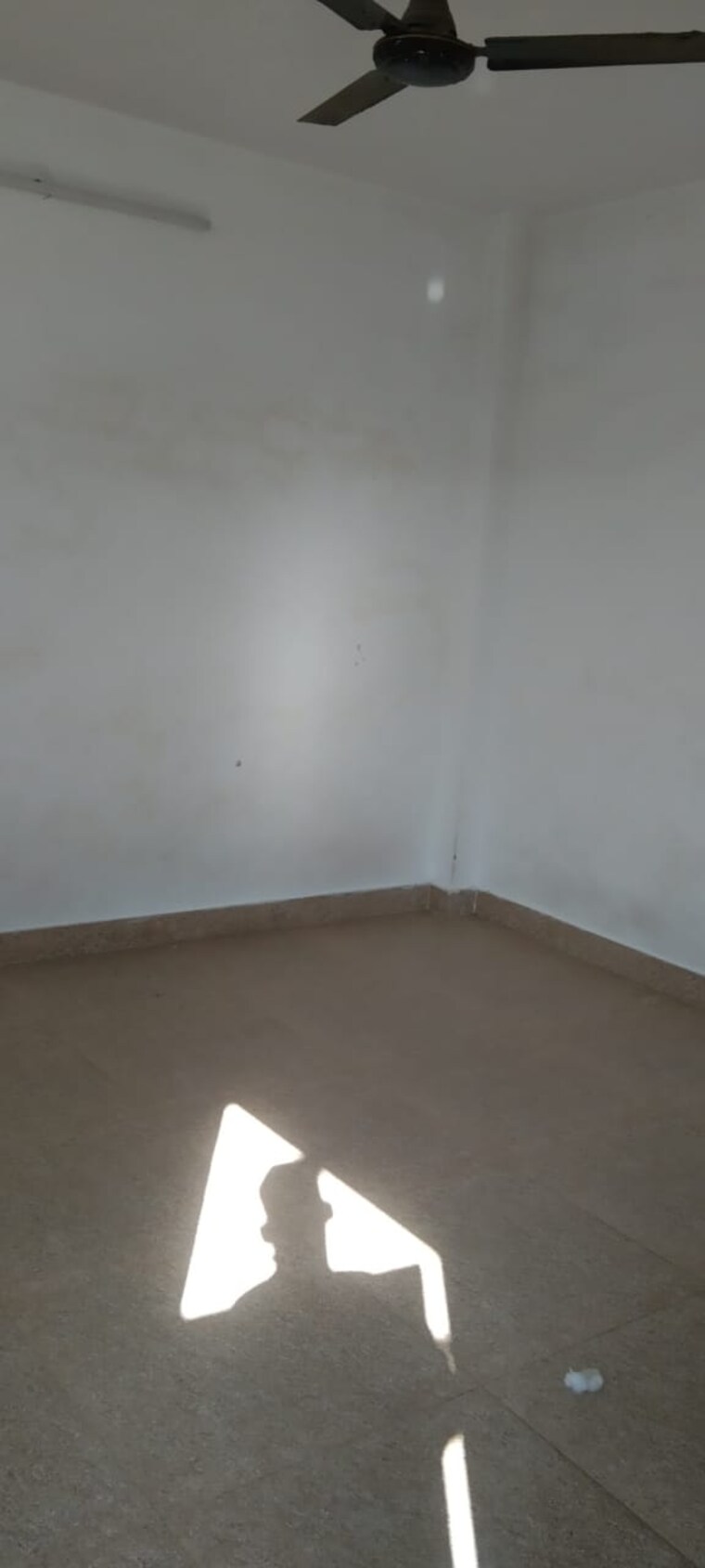 Room, kishangarh 1 Bedroom 550 Sq.Ft. Builder Floor In Kishangarh Delhi 9579583