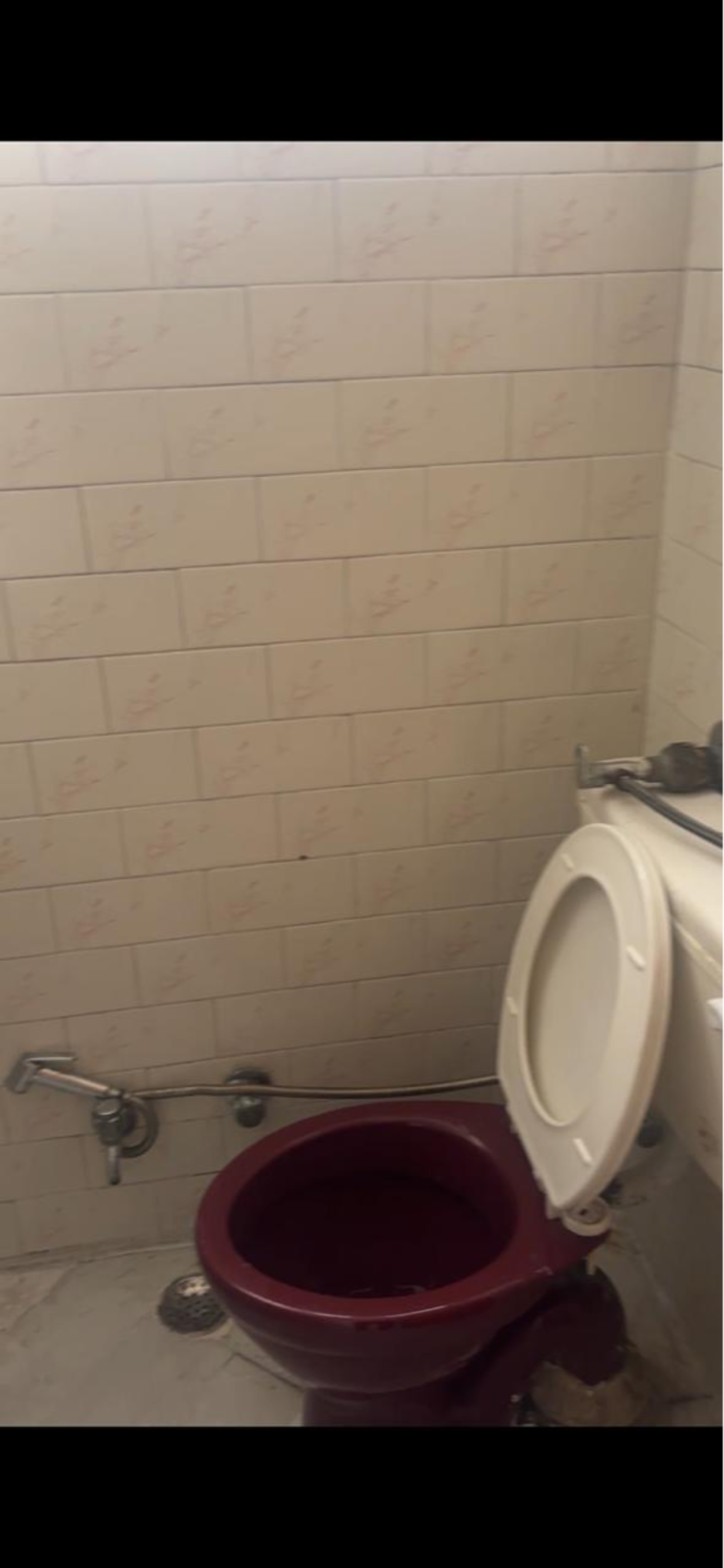 Bathroom, panchsheel enclave 3 Bedroom 265 Sq.Yd. Builder Floor In Panchsheel Enclave Delhi 9579671