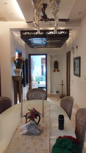 Living Room in 3.5 BHK Builder Floor at Greater Kailash I – for Rent