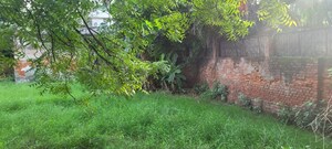  Plot – Garden View at Sector 19 - for Sale
