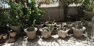 Living Room in 5 BHK Villa at Satellite – for Rent