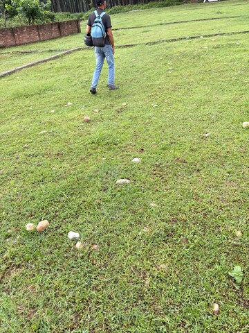  Plot – Garden View at Sherpur - for Sale