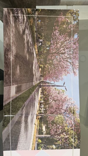 Swimming Pool in 3 BHK Apartment at Prestige Park Grove, Whitefield – for Sale