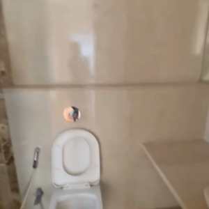 Bathroom in 3 BHK Apartment at Omkar Alta Monte, Laxman Nagar – for Rent