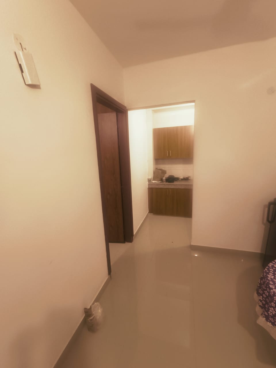 1 BHK + Pooja Room Apartment For Rent in Ansal Plaza Sector-23