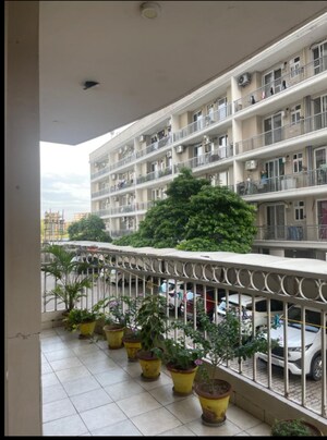 3 BHK Apartment – Exterior View View at Malwa Escon Arena, Lohgarh - for Sale