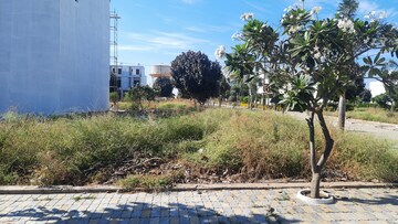 Plot Area in  Plot at Ab Bypass Road – for Sale