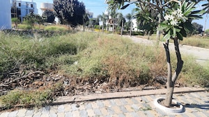 Plot Area in  Plot at Ab Bypass Road – for Sale