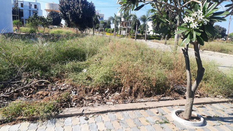 undefined, ab bypass road  800 Sq.Ft. Plot In Ab Bypass Road Indore 9581114